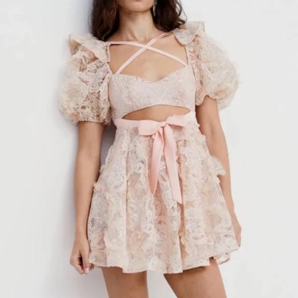 For Love And Lemons Ruffled Lace Mini Dress in Cream and Pink - Picture 11 of 11